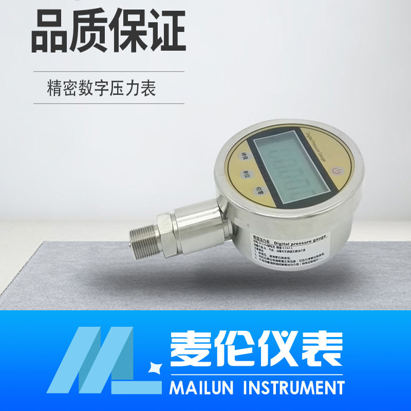 <b>精密數字壓力表</b>